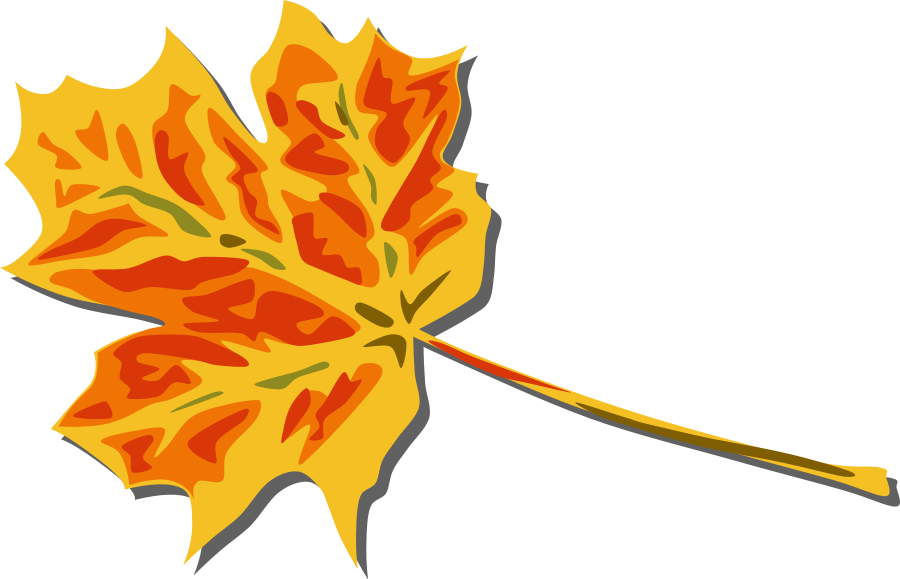 900x579 Leaves Clipart Cartoon