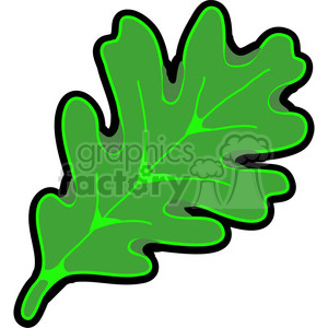300x300 Royalty Free Green White Oak Leaf 387343 Vector Clip Art Image