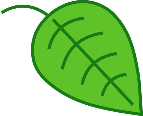550x448 Green Leaf Clipart
