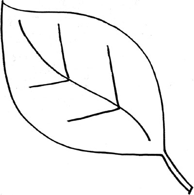 400x402 Leaves Black And White Leaf Outline Clip Art Black And White