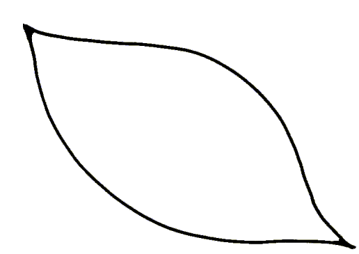 516x365 Leaf Clipart Leaf Outline
