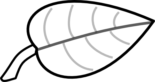 600x320 Leaf Outline Clipart Free Images 3