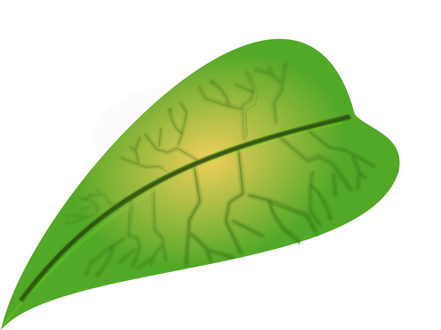 900x675 Leaves Clipart Single