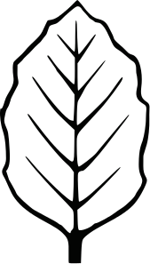 169x297 Free Leaf Outline Clip Art Clipart Panda