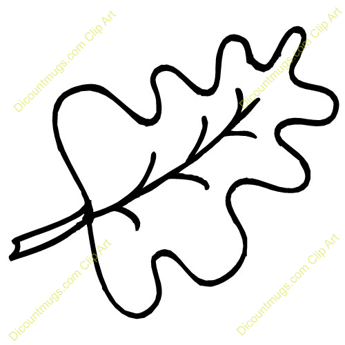 500x500 Leaf Clipart White Oak