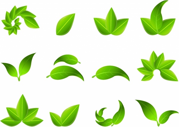 600x427 Leaf Graphics Collection
