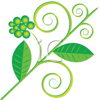 350x350 Royalty Free Clipart Image Leaf Flourish Design