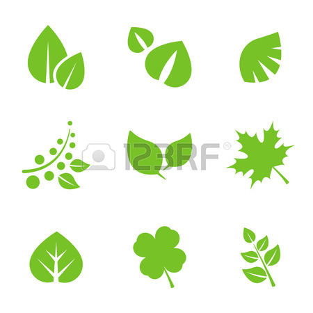450x450 Set Of Green Leaves Design Elements. This Image Is A Vector