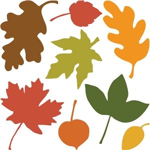 300x300 The Best Leaf Silhouette Ideas Silhouettes