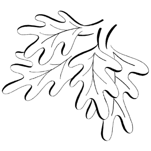 300x300 Serendipity Stamps Oak Leaf Flourish