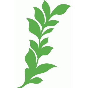 300x300 Silhouette Design Store