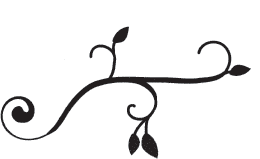 260x159 Leaf Flourish