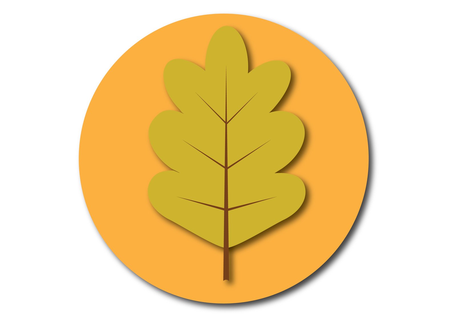 1599x1140 Free Oak Leaf Stock Photo