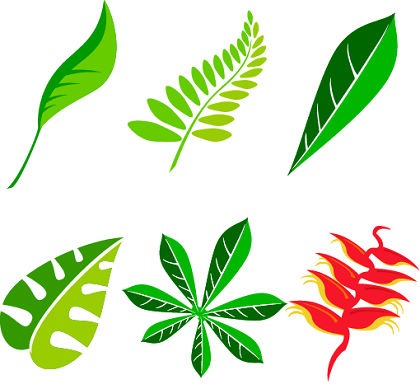 420x389 Free Leaf Vector Art Package Free Vector Graphics All Free Web