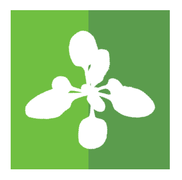 358x354 Plant Image Analysis Datasets