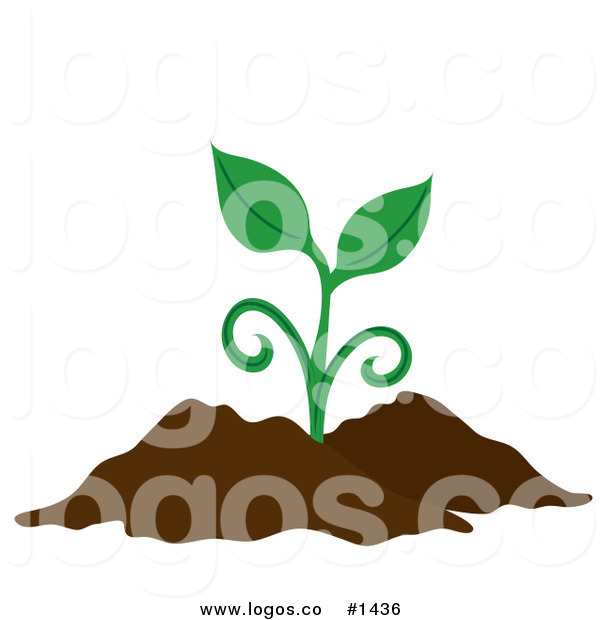 600x620 Royalty Free Vector Logo Icon Of A Green Plant Sprouting From Rich