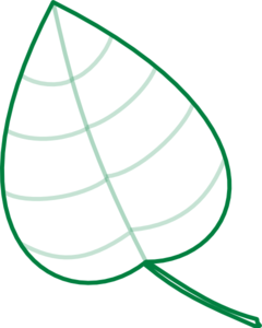 240x300 Geen Leaf Outline Clipart