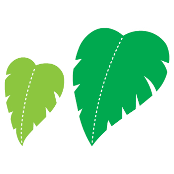 350x350 Jungle Clipart Leaf Outline