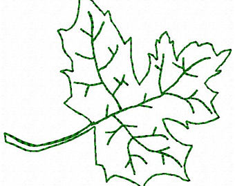 340x270 Leaf Outline Etsy