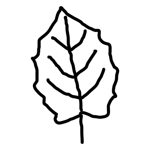 512x512 Outline Maple Leaf