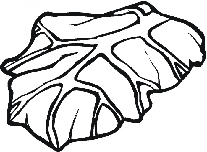 700x516 Lettuce Clipart 6 Image