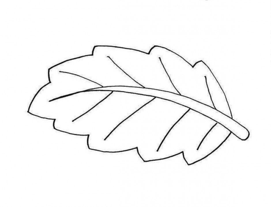 940x716 Leaf Outlines Printable