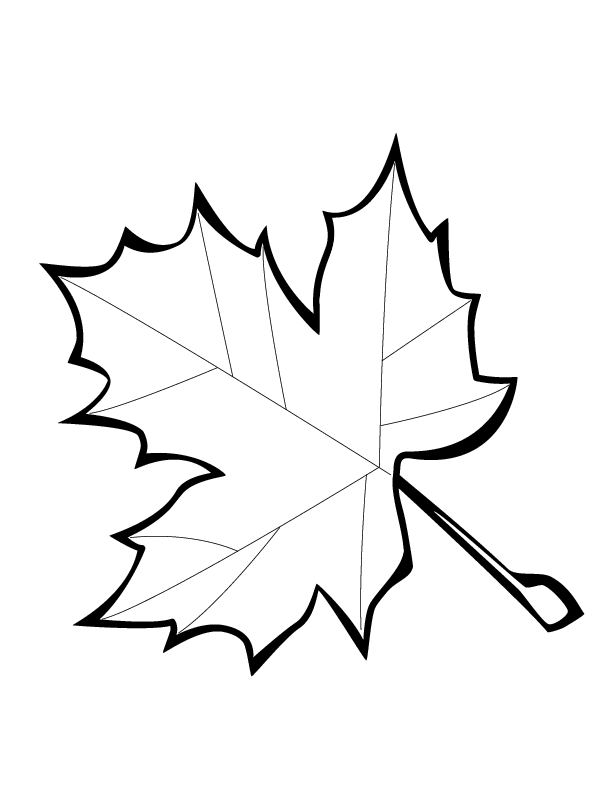 612x792 Leaf Outlines Printable Many Interesting Cliparts