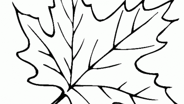 750x425 Nature Outlines To Print Leaf Color Page, Coloring Pages, Color