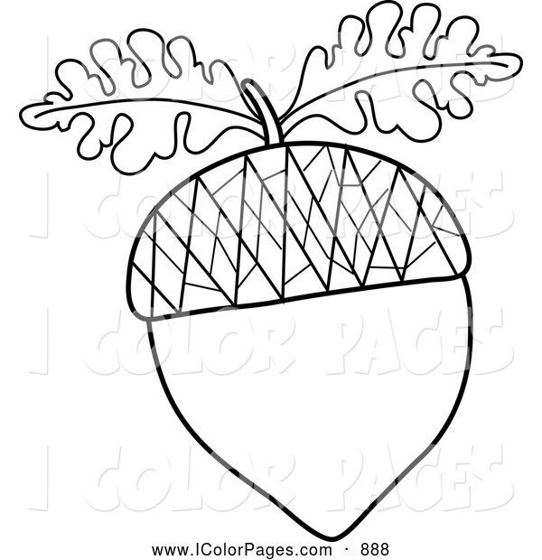 600x620 Vector Coloring Page Of A Black And White Acorn Outline With Oak