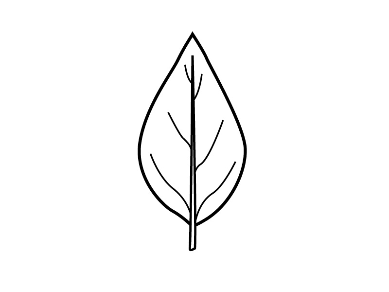 800x600 Character Notes