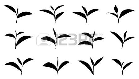 450x257 Leaf Clipart Tea Leaf