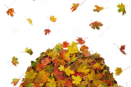 450x300 Fall Leaf Pile Clip Art