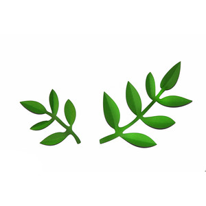 300x300 Silhouette Design Store