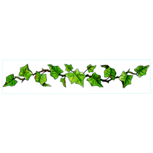 300x300 Ivy Leaf Vine Clipart
