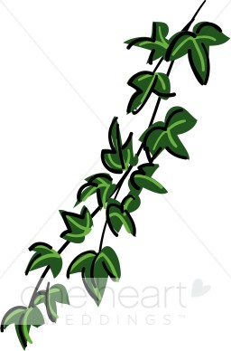256x388 Green Ivy Garland Clipart Country Wedding Clipart