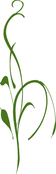 192x595 Green Vine Clip Art