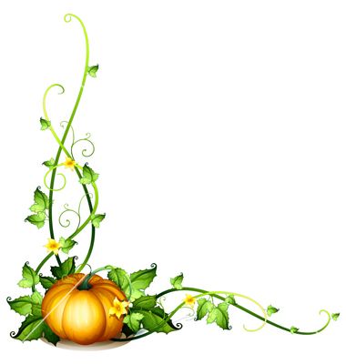 380x400 The Best Pumpkin Vine Ideas Patch Shop, Wine