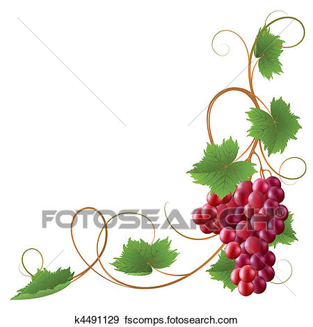 450x470 Clip Art Of Vine K4491129