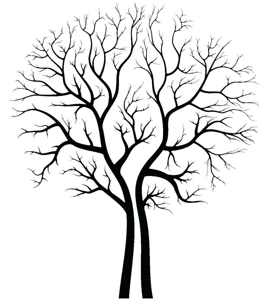 863x1003 Clip Art Family Tree Outline Library Free Images Autumn Printable