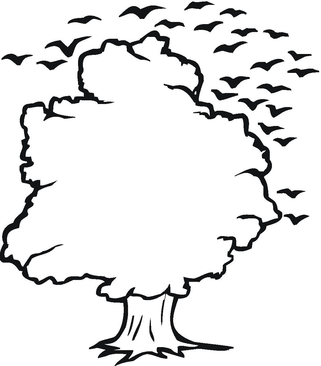 1053x1200 Simple Tree Outline
