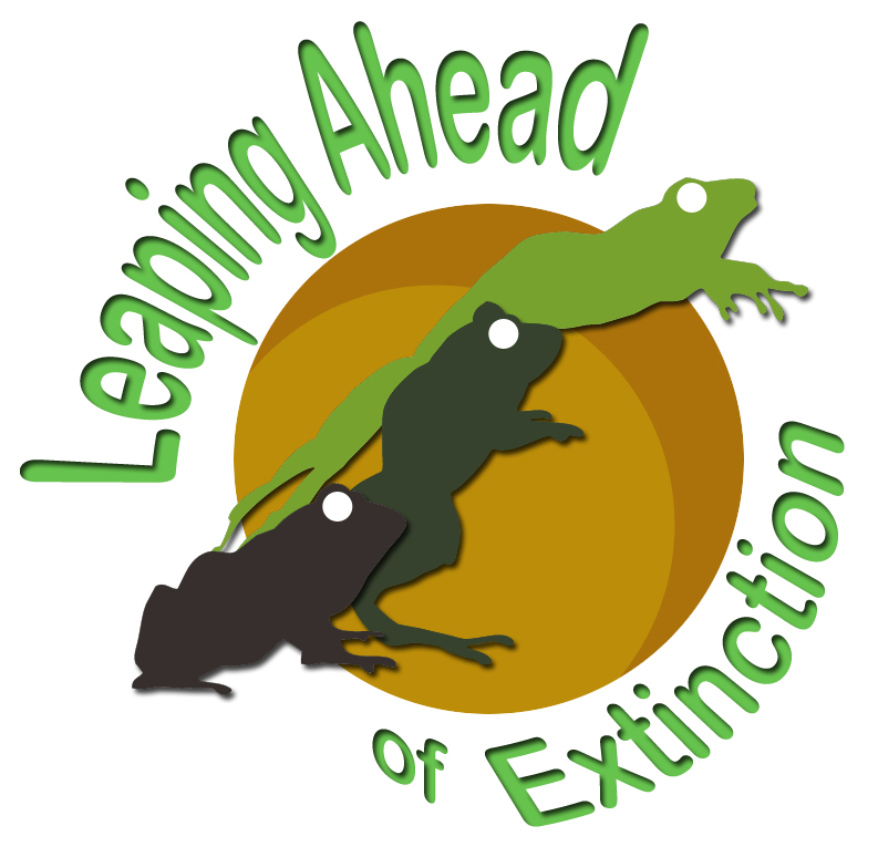 793x774 Leap Day Photos