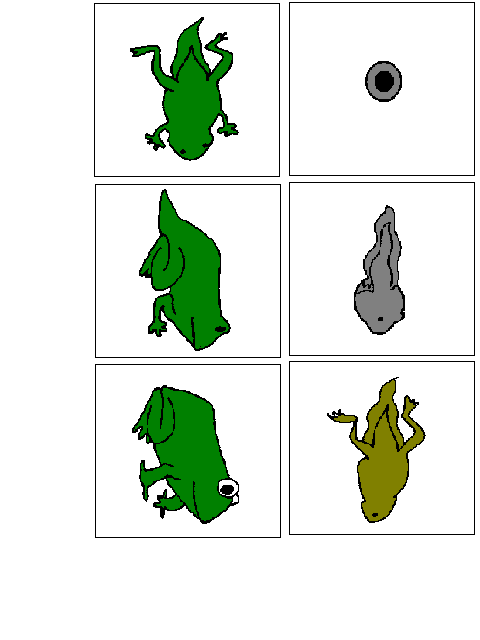 480x640 Mommy Lessons 101 Celebrating Leap Year (Or A Frog Theme Any Year!)