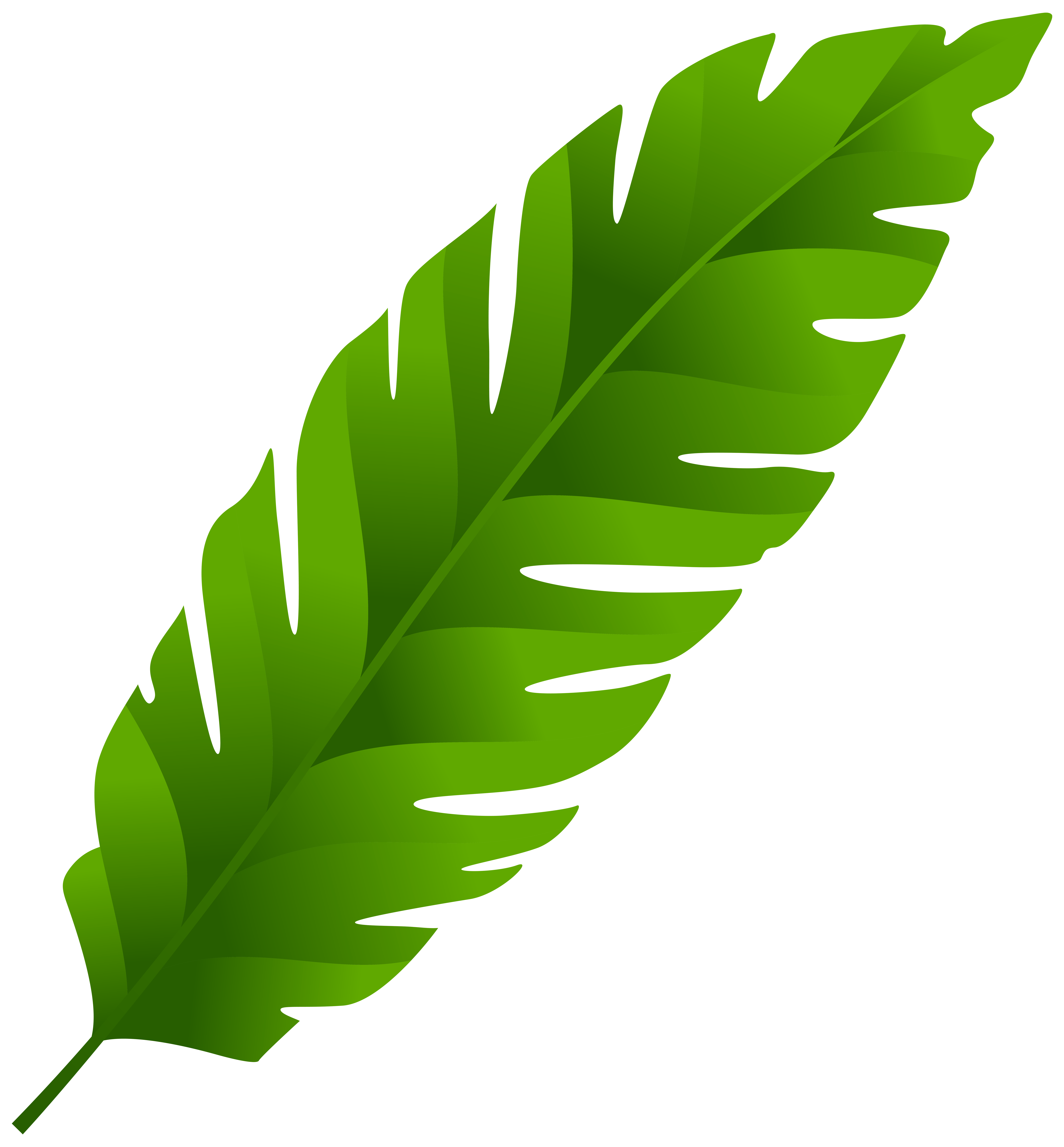 7423x8000 Leaves Clipart Green Leaf