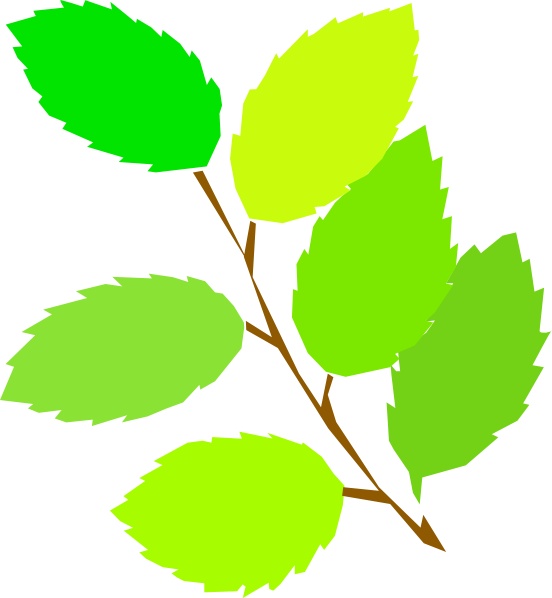 552x598 New Leaves Spring Clip Art