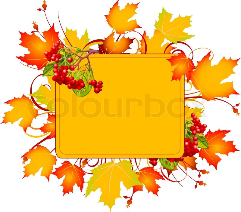 800x705 Fall Tree Stock Vector Colourbox
