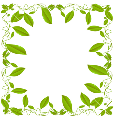 380x400 Green Leaf Border On White Clipart Panda