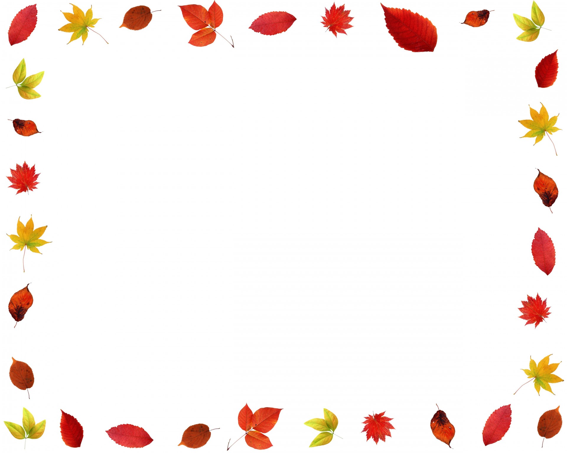 1920x1536 Border Leaves Free Stock Photo