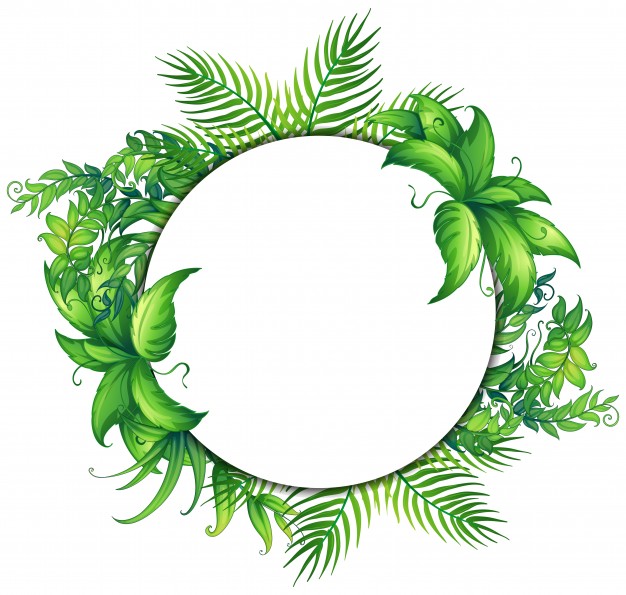 626x595 Vine Border Vectors, Photos And Psd Files Free Download