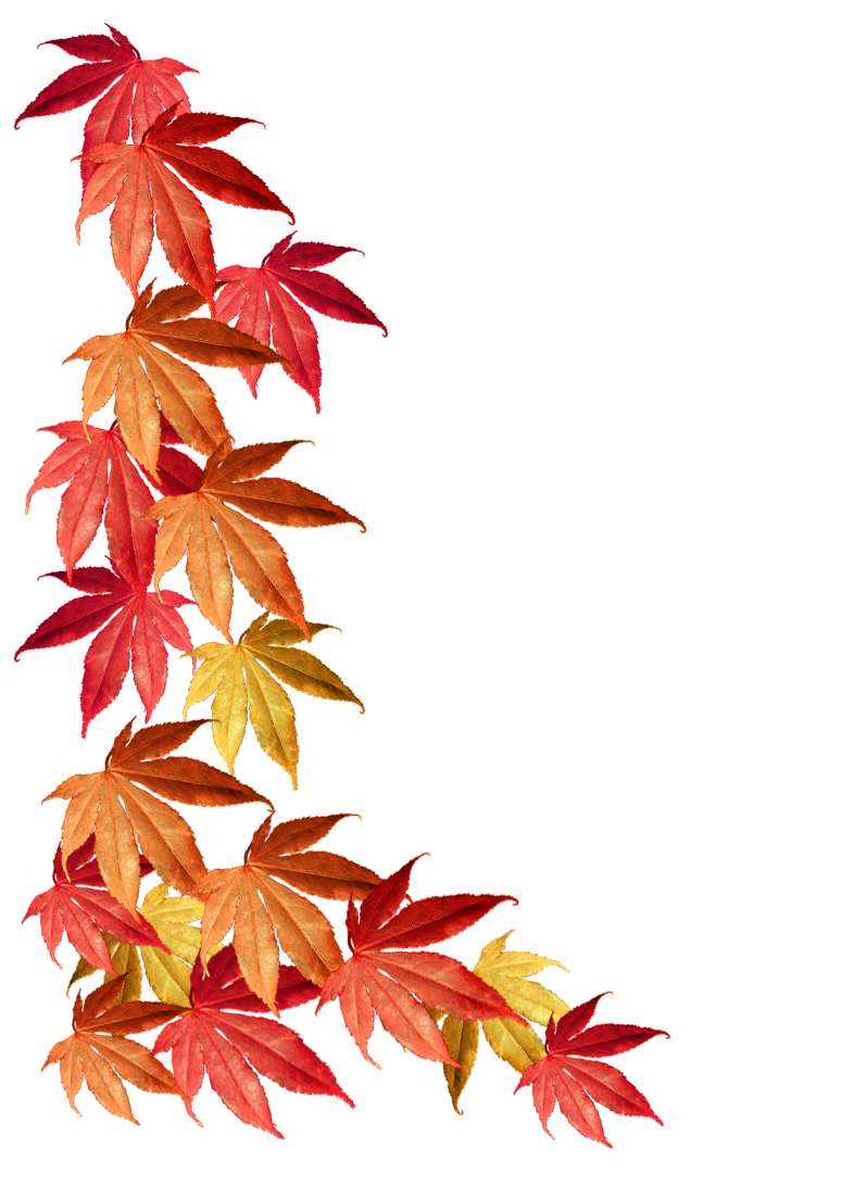 787x1102 Autumn Clipart Borders