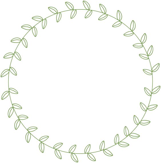 564x570 Circle Leaf Border
